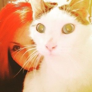 Meet your Posher, Gata